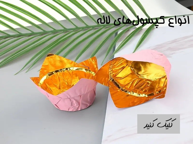 انواع کپسول های طرح لاله